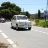 Montevago 2010 (478)